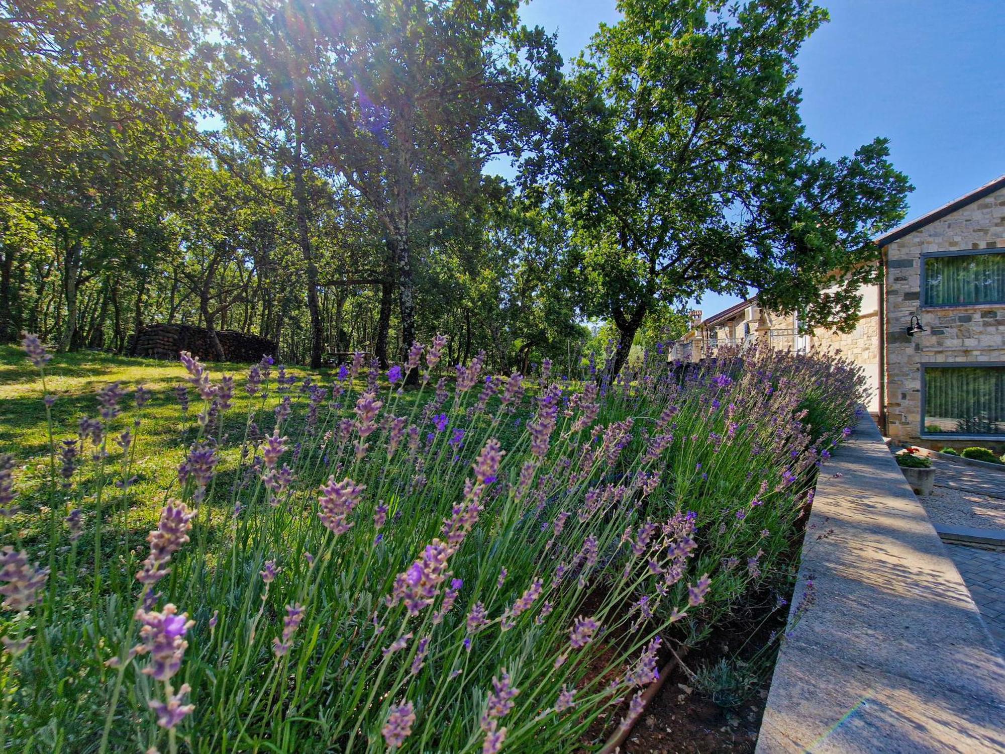 Bed and Breakfast Stancija Ruseti à Oprtalj Extérieur photo